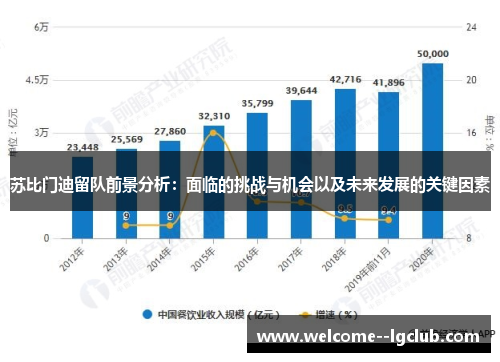 苏比门迪留队前景分析：面临的挑战与机会以及未来发展的关键因素