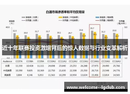 近十年联赛投资激增背后的惊人数据与行业变革解析 近十年联赛投资激增背后的惊人数据与行业变革解析