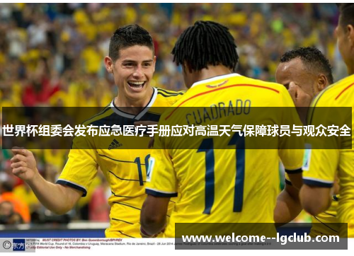 世界杯组委会发布应急医疗手册应对高温天气保障球员与观众安全 世界杯组委会发布应急医疗手册应对高温天气保障球员与观众安全